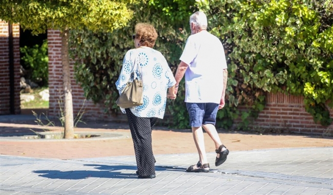 El gasto en pensiones contributivas se sitúa en el 11,8% del PIB