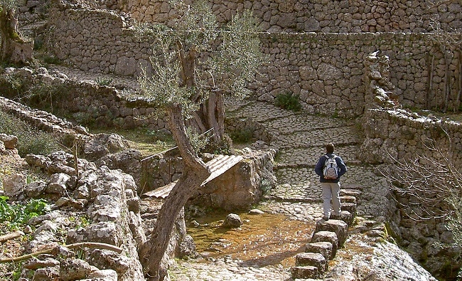 El Consell retoma las rutas naturales y patrimoniales organizadas con motivo de la Diada de Mallorca 2020
