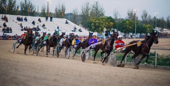 El Ayuntamiento de Manacor convocará el resto de propietarios del hipódromo para desbloquear las inversiones en el recinto 