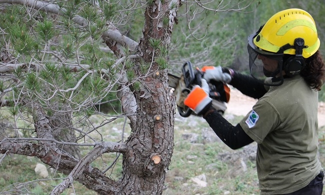 El Consell de Mallorca recupera las 20 horas de formación para todo el personal del Consell de Mallorca y del IMAS este 2024