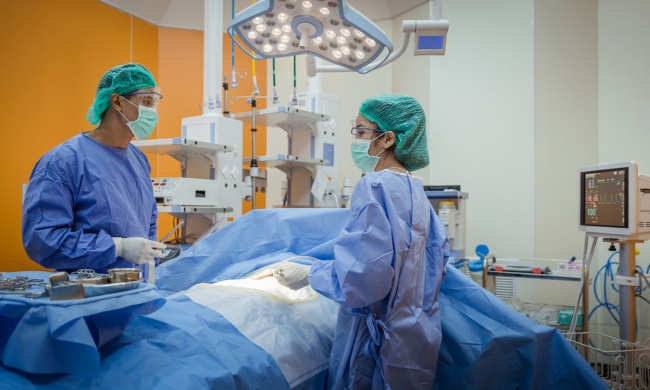 A lo largo de 2018, 66 donantes de las Illes Balears generaron 216 órganos para trasplantes 