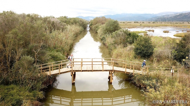 El Parque Natural de s'Albufera de Mallorca se amplía en un 24%
