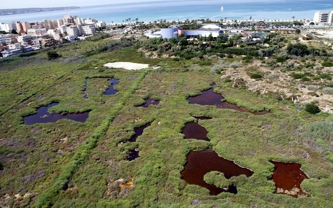 Frente común de las instituciones y las patronales de comercio para evitar una gran superficie en Ses Fontanelles