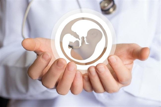 El IBF indica advierte que 1 de cada 5 embarazos de Baleares acaba en aborto