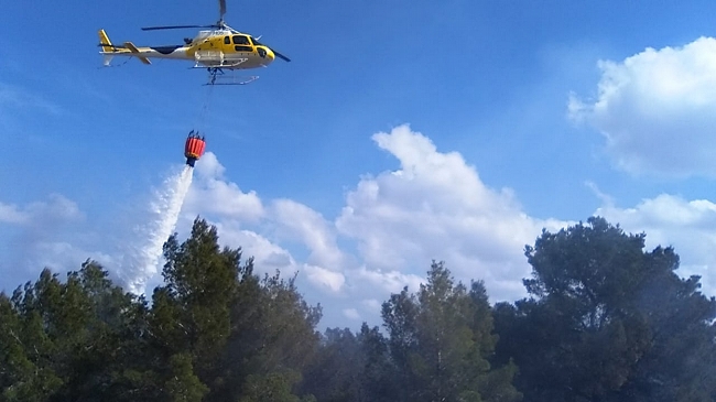 https://www.noticiasmallorca.es/imatges/fotosweb/2019/04/03/5417incendio.png