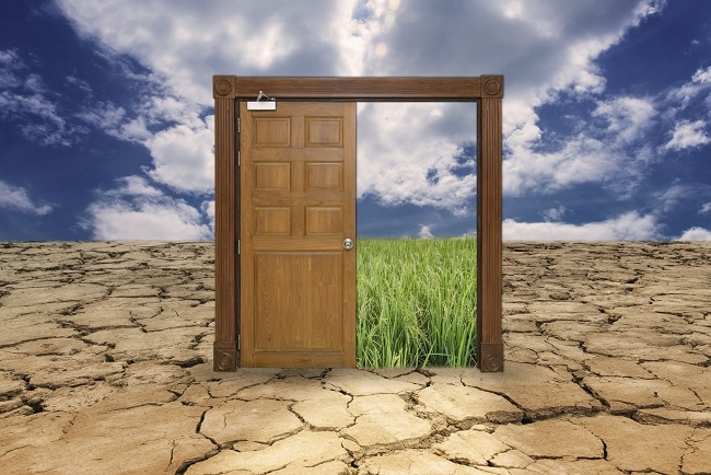 Luz verde al Plan anual de Cooperación para el año 2019