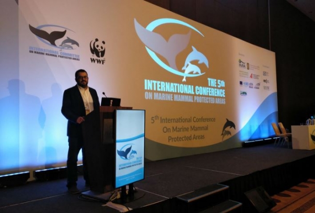 Las Baleares exportan las políticas de protección marina y contra las prospecciones