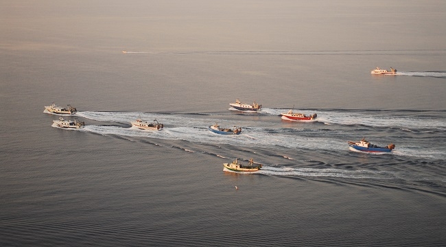 Oceana: El Mediterráneo es la región con más sobrepesca del mundo