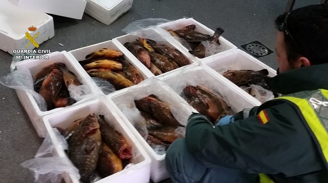 https://www.noticiasmallorca.es/imatges/fotosweb/2019/04/20/779seprona-pescado.jpg