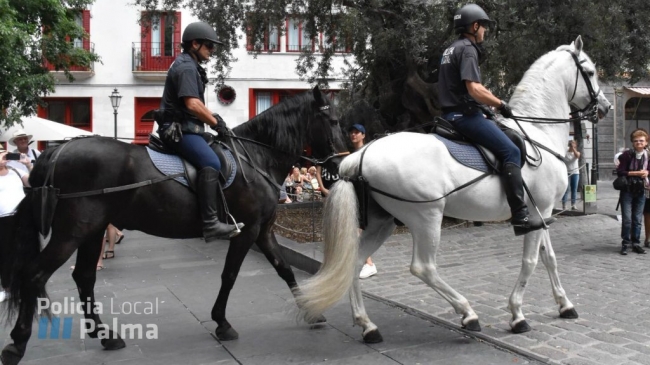 Policía local de Palma detiene a un hombre por un supuesto delito contra la salud pública