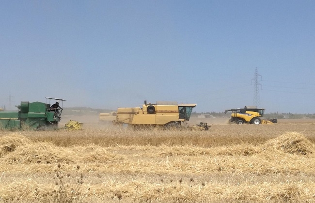 Agricultura se marca como objetivo prioritario modernizar el sector primario y hacerlo más rentable