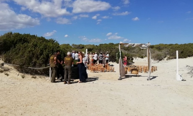 https://www.noticiasmallorca.es/imatges/fotosweb/2019/05/31/7383quitar.JPG