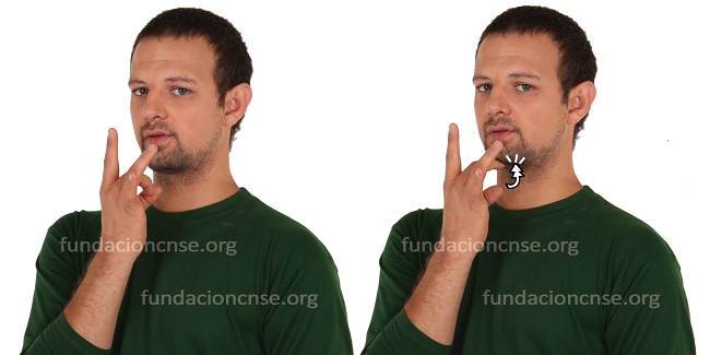 Se presenta el primer Diccionario Normativo multimedia de la Lengua de Signos Española