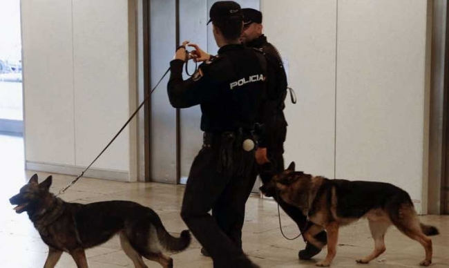 https://www.noticiasmallorca.es/imatges/fotosweb/2019/06/18/9972policia-perros.jpg