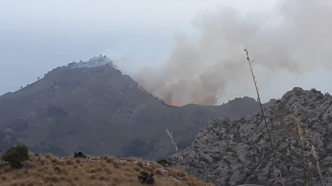 https://www.noticiasmallorca.es/imatges/fotosweb/2019/07/10/1393incendio.jpg