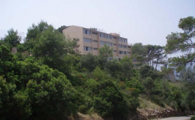 https://www.noticiasmallorca.es/imatges/fotosweb/2019/07/16/8295albergue-victoria.jpg