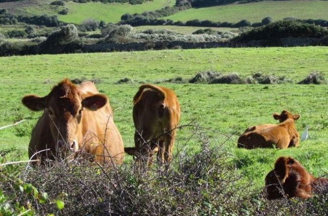 Se inicia la revisión de las zonas vulnerables a la contaminación por nitratos de origen agrario