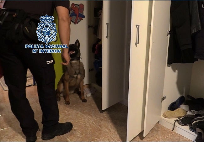 La Policía Nacional lidera la lucha internacional contra el cultivo y el tráfico ilícito de marihuana