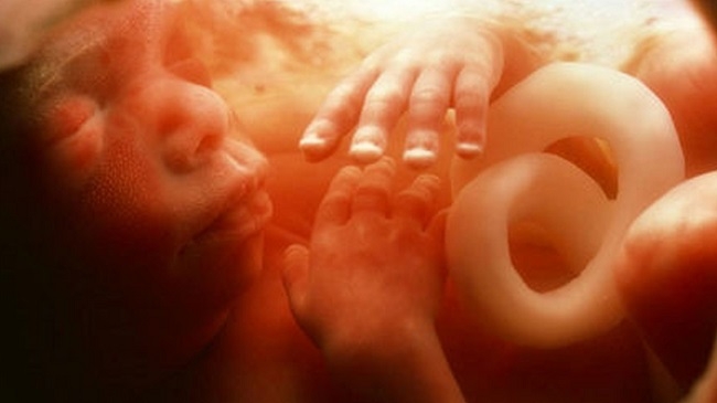 VOX exige al Govern de las Islas Baleares que adopte medidas pronatalistas