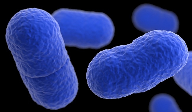 En las Islas Baleares no hay notificación de la venta de los productos contaminados de listeriosis