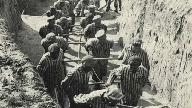 Propondrán al Ministerio de Justicia incluir 16 personas más en el Censo de Víctimas del nazismo de las Baleares