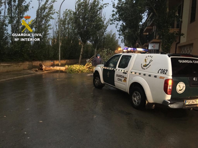 La Guardia Civil auxilia a un total de 17 personas en la tarde-noche de ayer en Mallorca