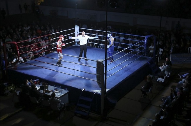 VOX consigue la unanimidad de todos los partidos para acabar con el veto ideológico al boxeo en Palma