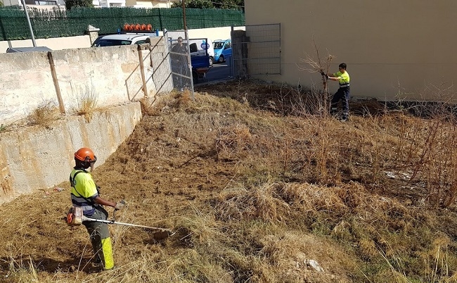 Palma limpia unos 265.000 metros cuadrados de unos treinta solares municipales 