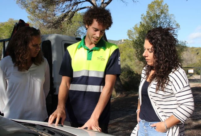 Esta semana ha empezado en el bosque de Bellver el programa plurianual de reforestación