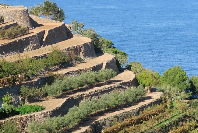 El Consell de Mallorca pondrá en marcha el distintivo Serra de Tramuntana a principios de 2022