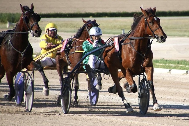 https://www.noticiasmallorca.es/imatges/fotosweb/2019/11/16/8506hipodromo.jpg