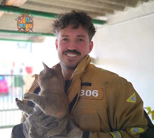 Bomberos de Palma rescatan un gato atrapado en una chimenea 