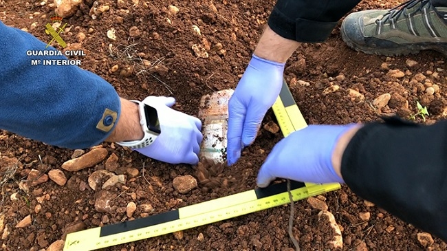 33 detenidos por introducir droga desde la Península hasta Mallorca 