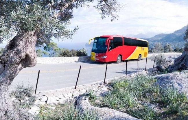La red de bus TIB avanza la temporada de verano al 22 de marzo con más oferta de servicio y una nueva línea en la Serra de Tramuntana