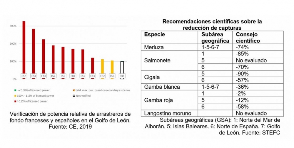 Oceana: La nueva regulación de la pesca de arrastre consagra el fraude y la sobreexplotación del Mediterráneo
