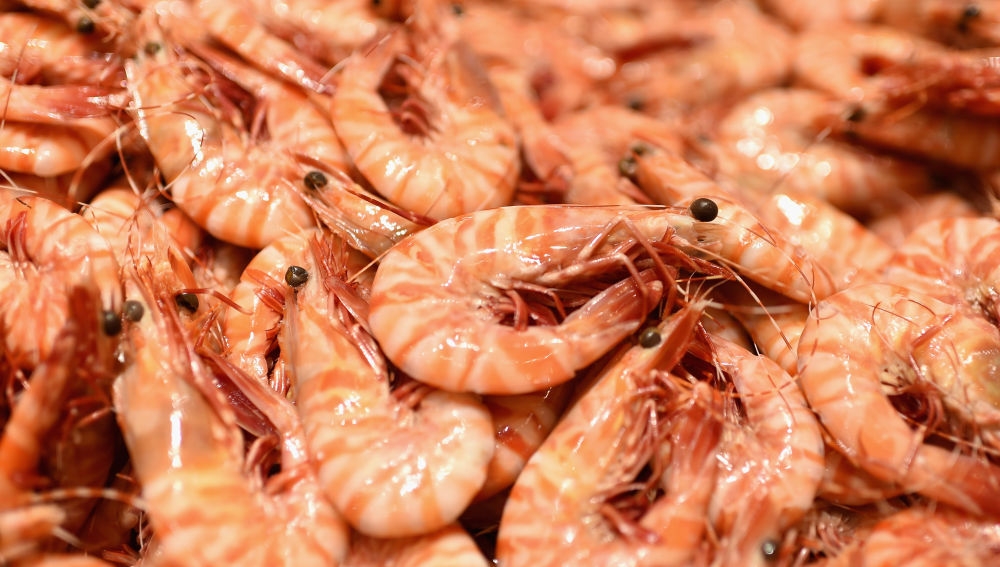 Sanidad alerta de los peligros de chupar cabezas de gambas, cigalas y carabineros
