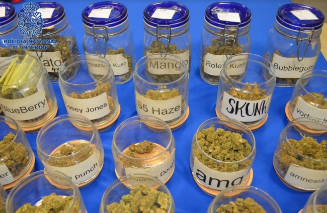 La Policía Nacional detiene al responsable de una asociación cannábica