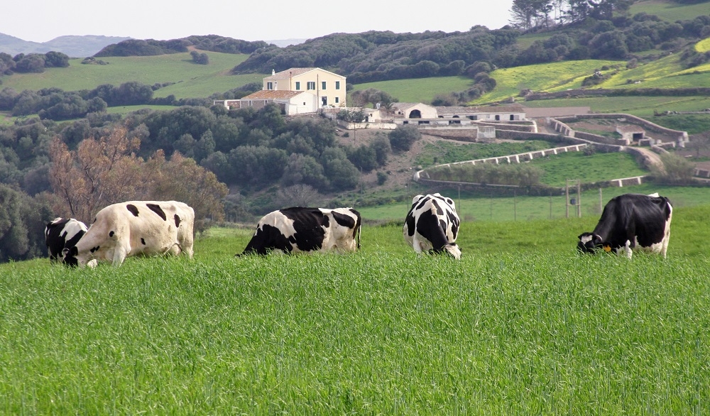 El FOGAIBA abona casi 10 millones de euros en ayudas al sector primario y agroalimentario de Baleares durante el mes de diciembre