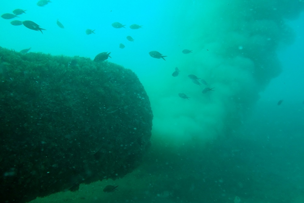 Cs Palma pide la dimisión de Neus Truyol por el caso de los vertidos de Emaya