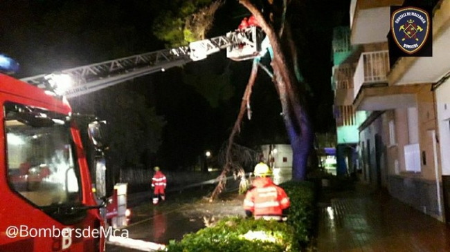 Los Bombers de Mallorca, con los ocho parques activos, han realizado intervenciones en toda la isla