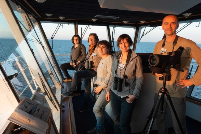 GOB i Baleària impulsen la investigació científica de cetacis i aus marines