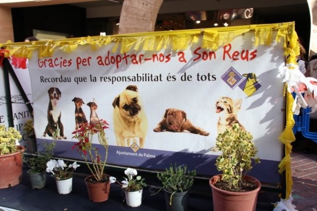 Trasladan a Son Reus tres perros de la Unidad Canina para poder garantizar la adopción