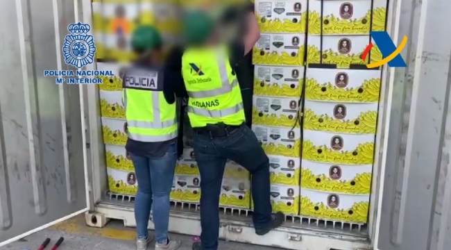 Incautados cerca de 200 kilos de cocaína ocultos en el interior de un contenedor localizado en el Puerto de Algeciras
