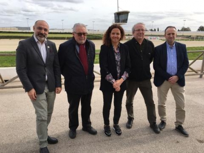 El Consell subvenciona el deporte hípico de Mallorca con 920.000 euros