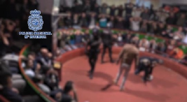 La Policía Nacional interviene en una pelea de gallos con unos 200 participantes, algunos de Baleares