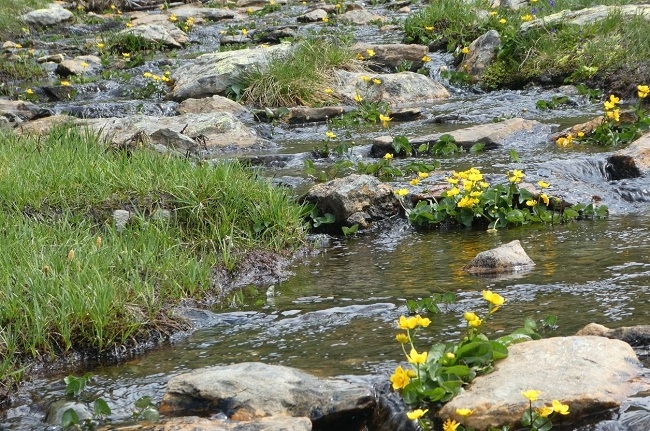El Gobierno crea un nuevo título de Técnico en Guía en el Medio Natural y de Tiempo Libre 