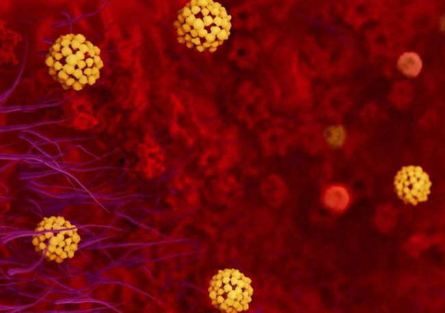 El paciente con coronavirus en Sevilla, primer caso de contagio local en España