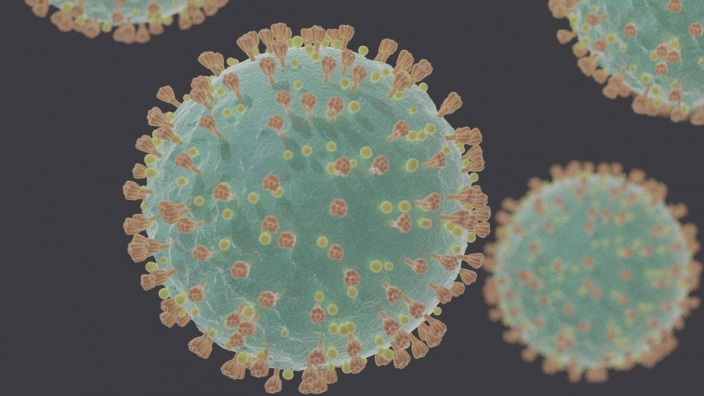 19 nuevos casos positivos de SARS-CoV-2 en las Illes Balears