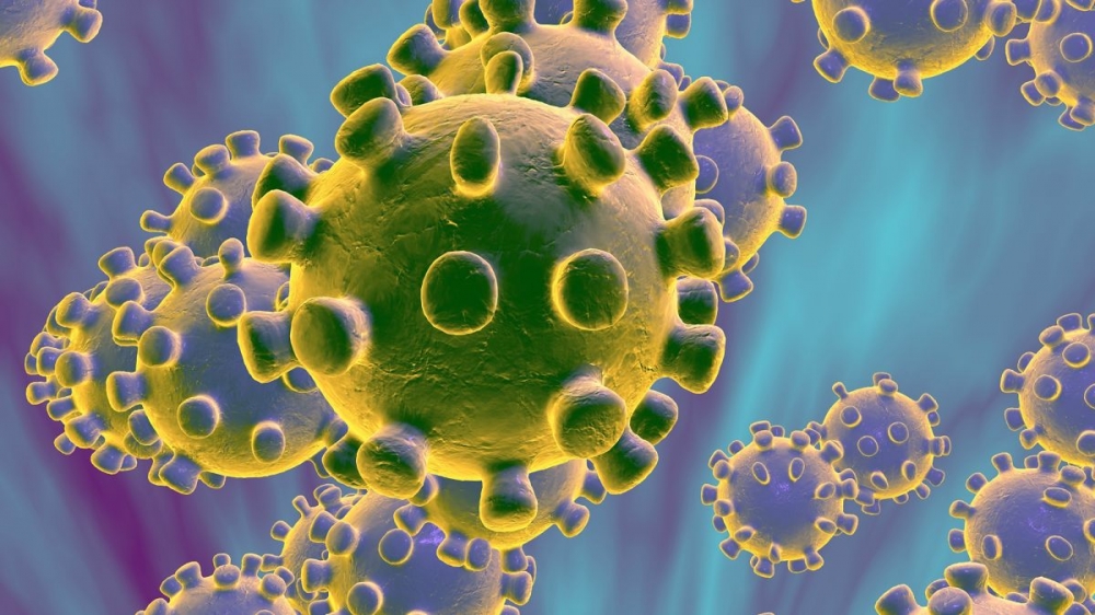 https://www.noticiasmallorca.es/imatges/fotosweb/2020/04/02/5562coronavirus.jpeg