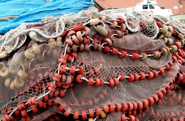 Oceana denuncia a 50 embarcaciones pesqueras españolas por apagar sus sistemas de geolocalización 